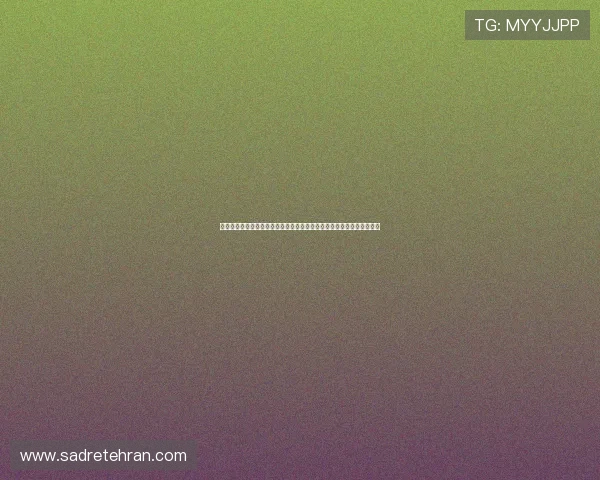 老品牌娱乐网站打造精彩世界杯主题报道，全面解析赛事亮点与精彩瞬间